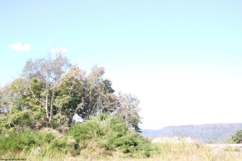 1429 Sand Bank Road Masontown WV 26542