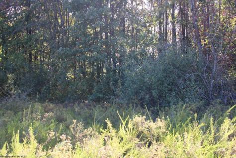 1429 Sand Bank Road Masontown WV 26542