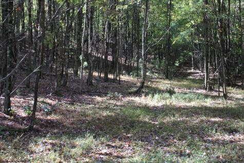 1429 Sand Bank Road Masontown WV 26542