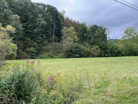9738 Buckhannon Pike Lost Creek WV 26385