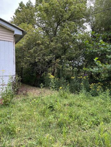 9738 Buckhannon Pike Lost Creek WV 26385