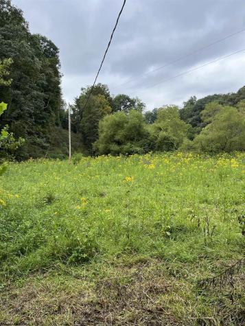 9738 Buckhannon Pike Lost Creek WV 26385