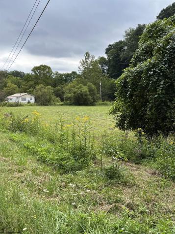 9738 Buckhannon Pike Lost Creek WV 26385