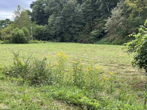 9738 Buckhannon Pike Lost Creek WV 26385