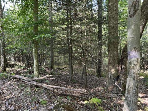 0 Copper Head Road Terra Alta WV 26764