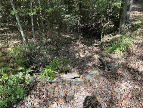0 Copper Head Road Terra Alta WV 26764
