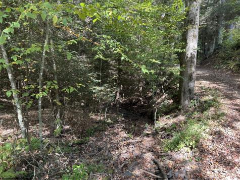 0 Copper Head Road Terra Alta WV 26764