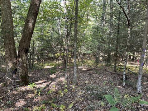 0 Copper Head Road Terra Alta WV 26764
