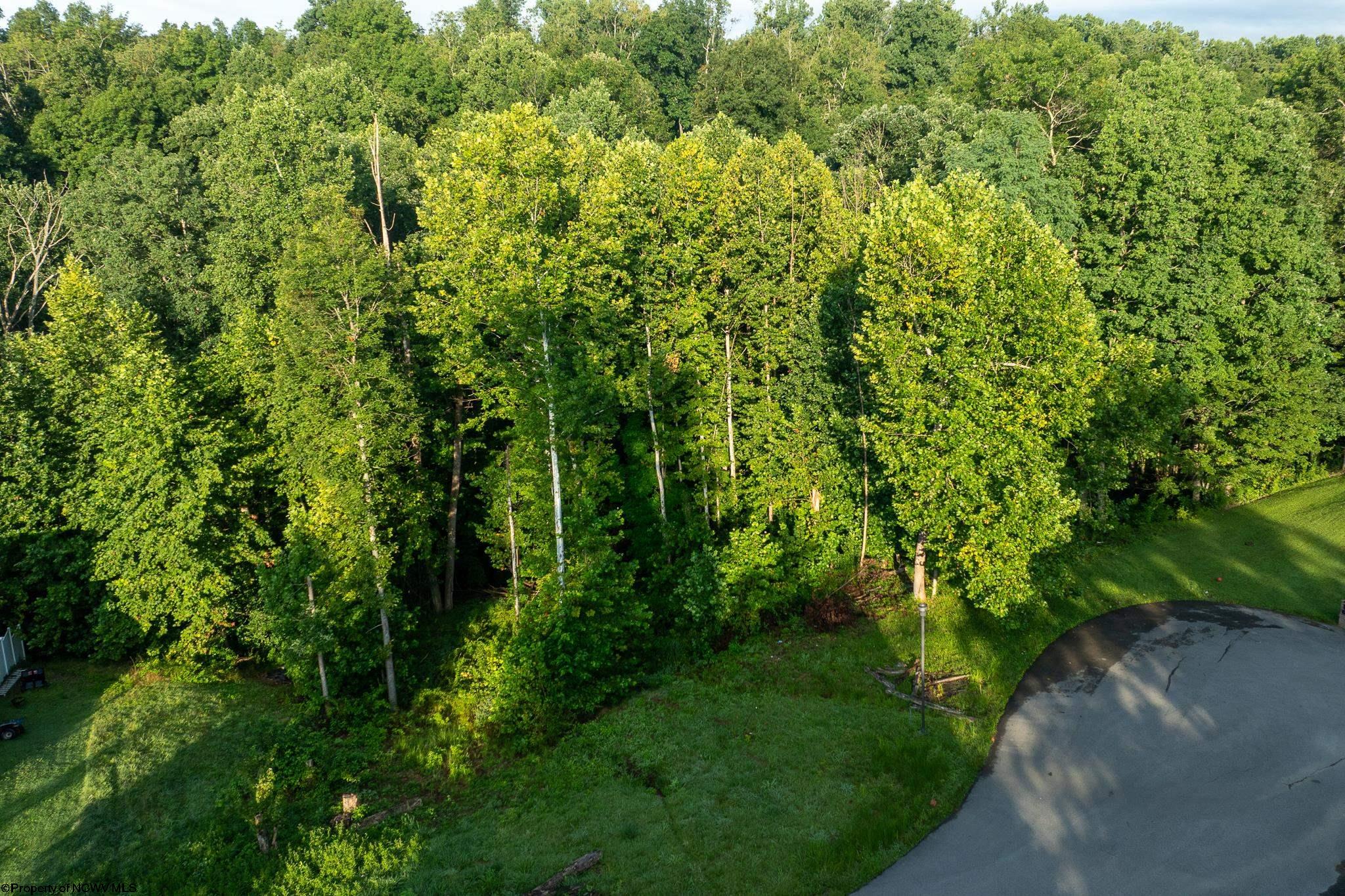245 Coventry Drive Bridgeport WV 26330
