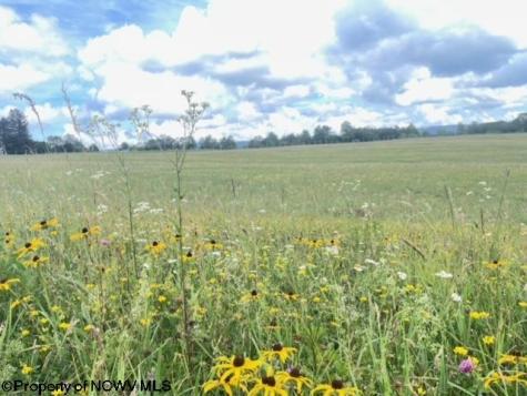 0 Mallow Lake Drive Davis WV 26260