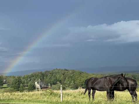0 Mallow Lake Drive Davis WV 26260