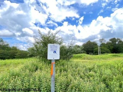 0 Mallow Lake Drive Davis WV 26260