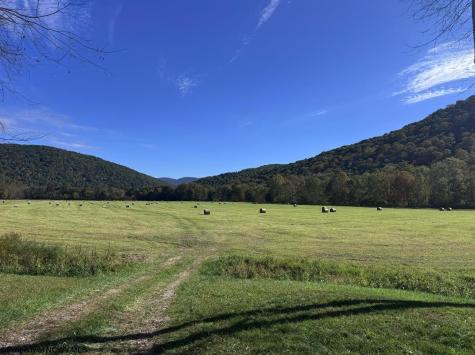 1 Cravens Run Road Elkins WV 26240