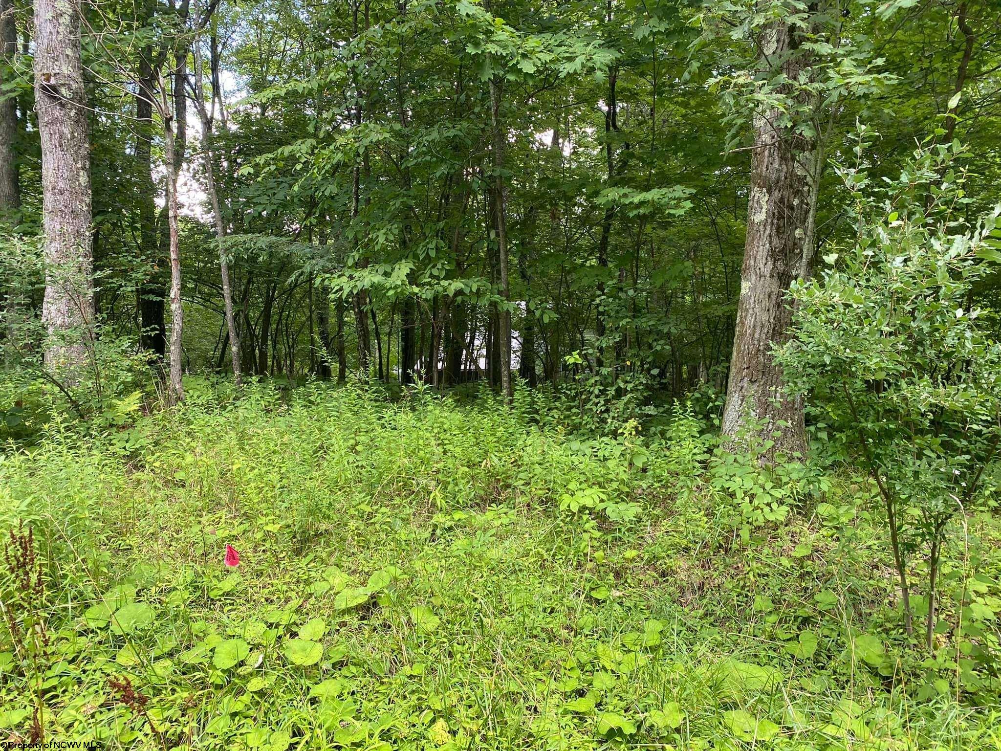 72 Oak Drive Terra Alta WV 26764