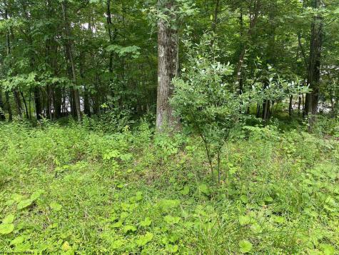 72 Oak Drive Terra Alta WV 26764