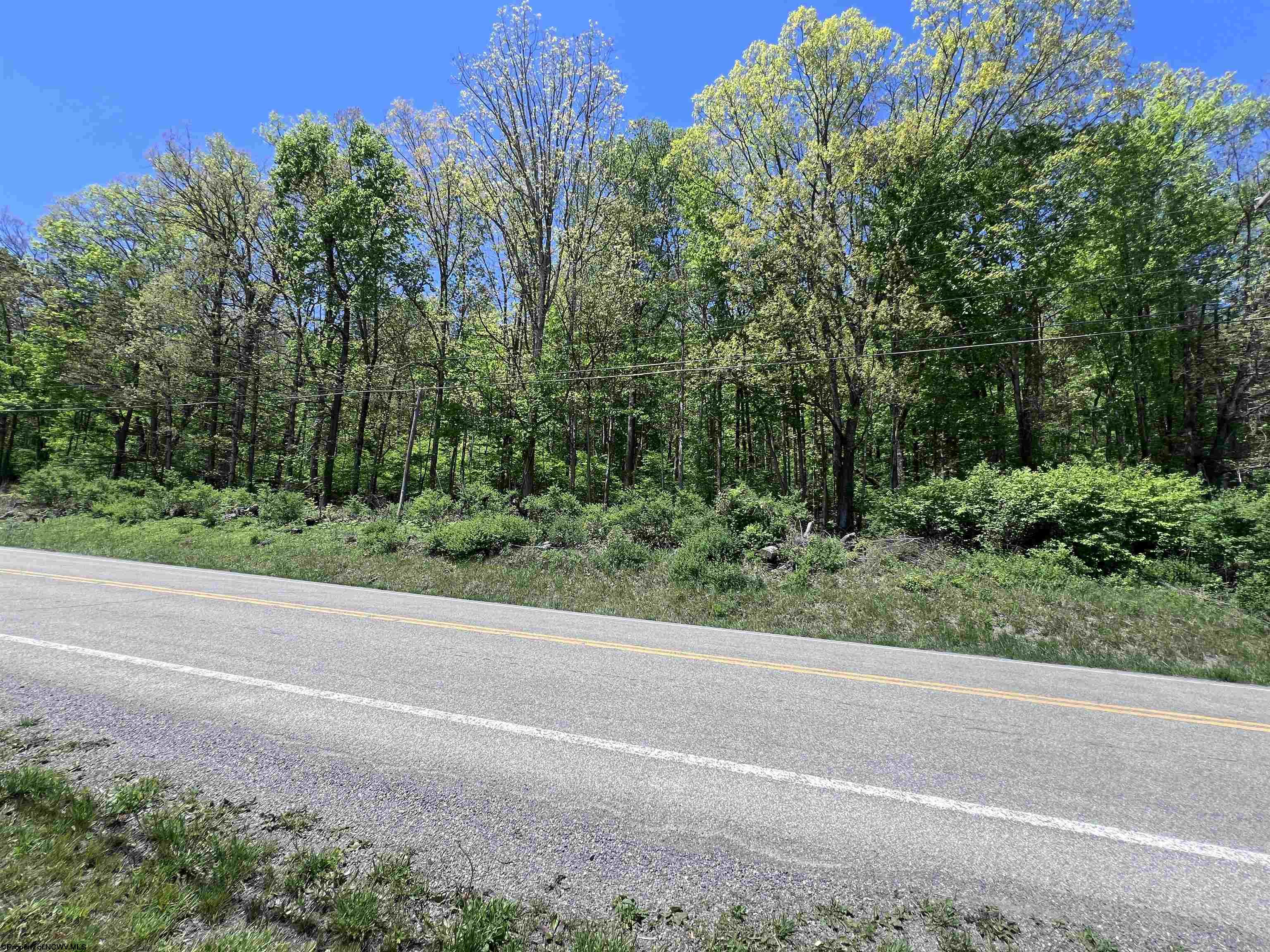0 Rt. 219 Highway Valley Bend WV 26293