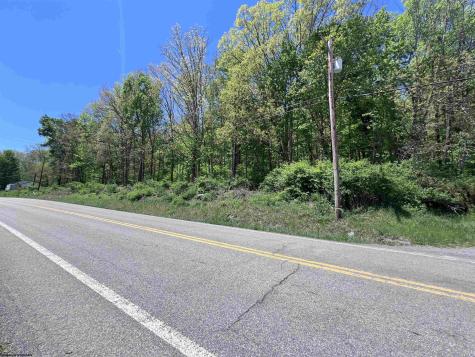 0 Rt. 219 Highway Valley Bend WV 26293