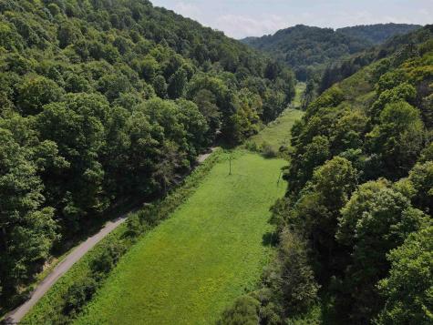 1742 Rush Run Road Burton WV 26562