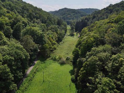 1742 Rush Run Road Burton WV 26562