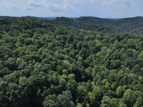1742 Rush Run Road Burton WV 26562