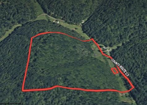 1742 Rush Run Road Burton WV 26562