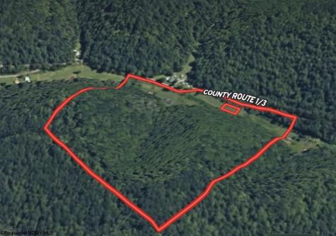 1742 Rush Run Road Burton WV 26562