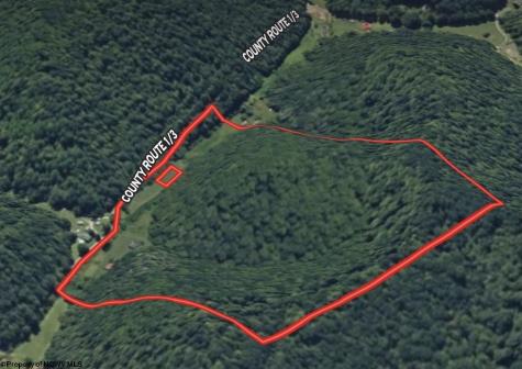 1742 Rush Run Road Burton WV 26562
