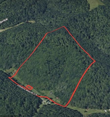 1742 Rush Run Road Burton WV 26562