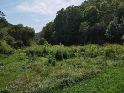 1742 Rush Run Road Burton WV 26562