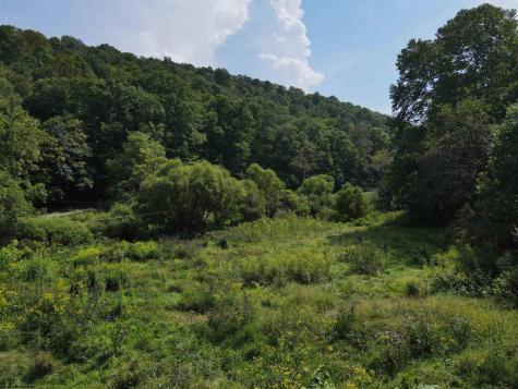 1742 Rush Run Road Burton WV 26562