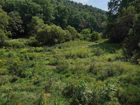 1742 Rush Run Road Burton WV 26562