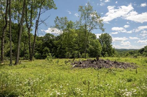 11 Lake Island Drive Belington WV 26250