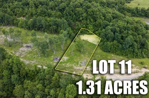 11 Lake Island Drive Belington WV 26250