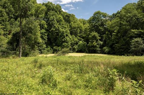 11 Lake Island Drive Belington WV 26250