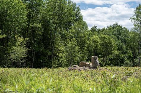 11 Lake Island Drive Belington WV 26250