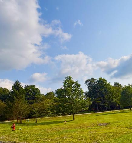 Lot 42 Penny Lane Davis WV 26260