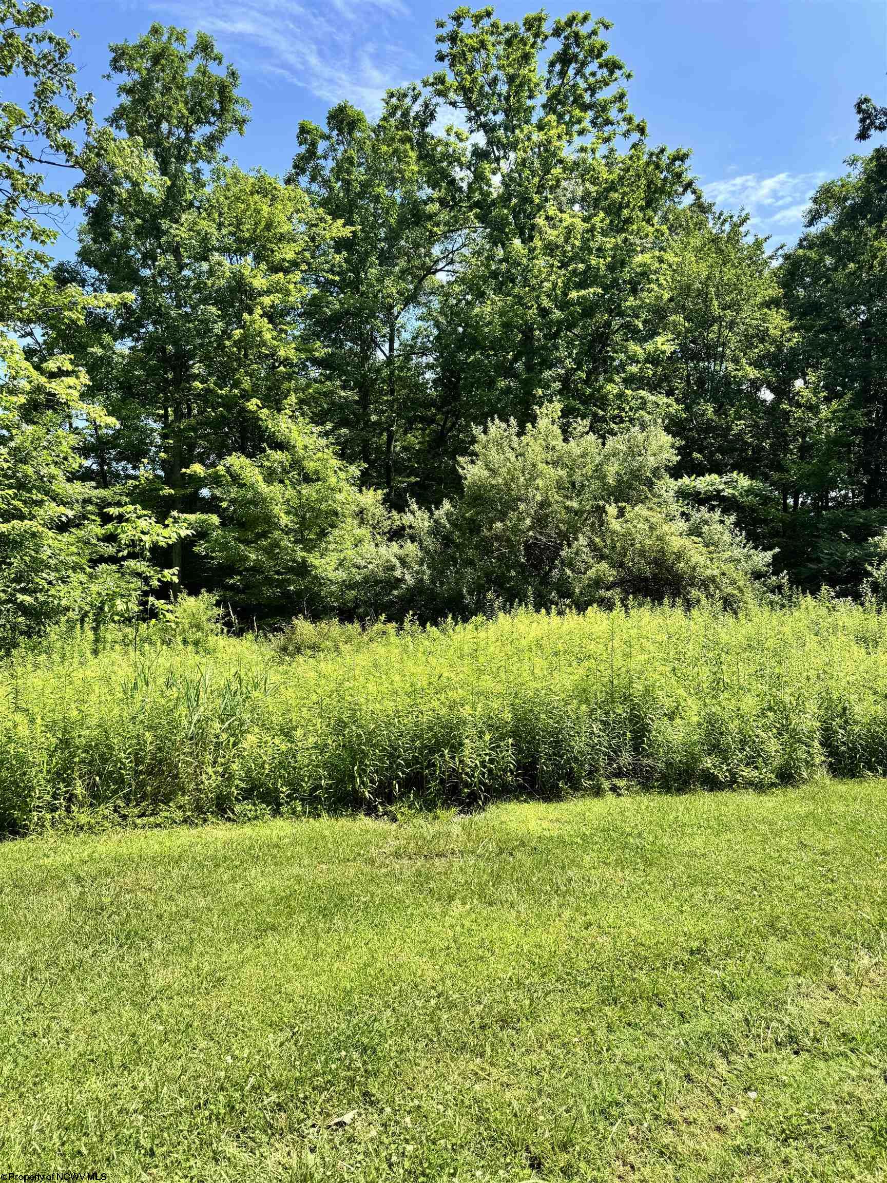 0 Woodview Drive Bruceton Mills WV 26525