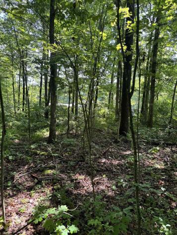 0 Woodview Drive Bruceton Mills WV 26525