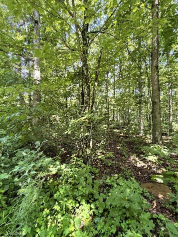 0 Woodview Drive Bruceton Mills WV 26525