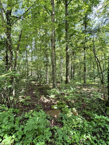 0 Woodview Drive Bruceton Mills WV 26525