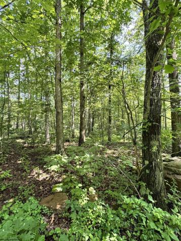 0 Woodview Drive Bruceton Mills WV 26525