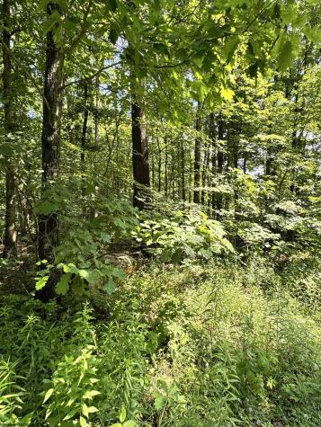 0 Woodview Drive Bruceton Mills WV 26525