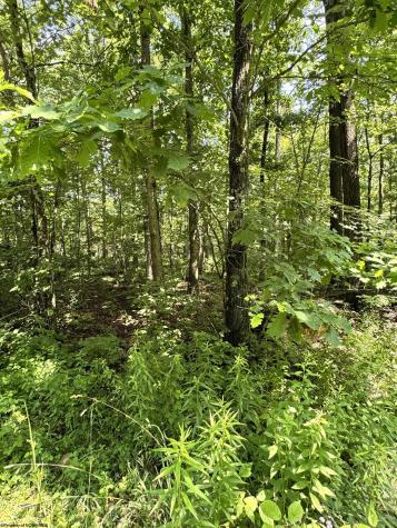 0 Woodview Drive Bruceton Mills WV 26525
