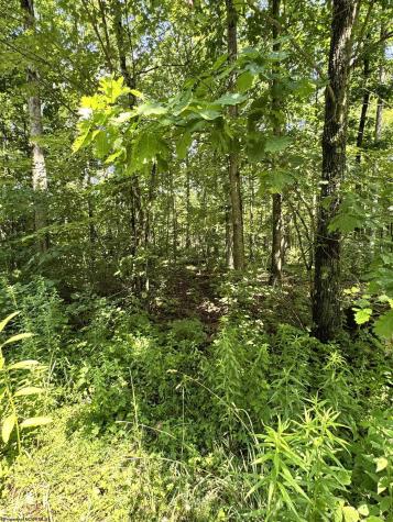 0 Woodview Drive Bruceton Mills WV 26525
