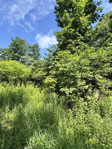 0 Woodview Drive Bruceton Mills WV 26525