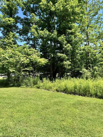 0 Woodview Drive Bruceton Mills WV 26525
