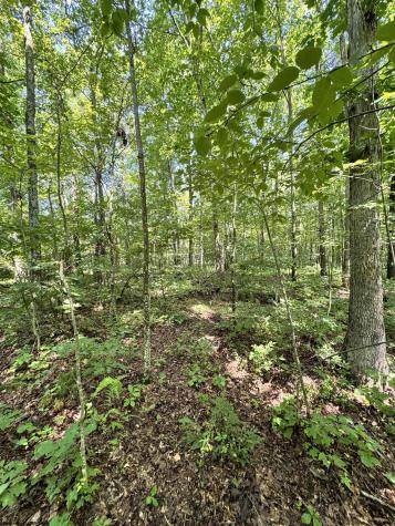 0 Woodview Drive Bruceton Mills WV 26525