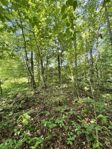 0 Woodview Drive Bruceton Mills WV 26525