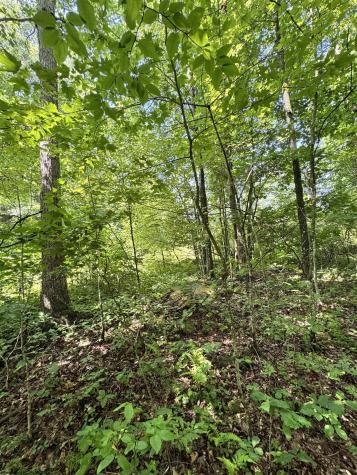 0 Woodview Drive Bruceton Mills WV 26525