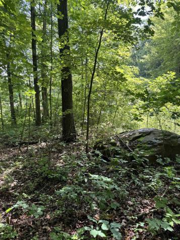 0 Woodview Drive Bruceton Mills WV 26525